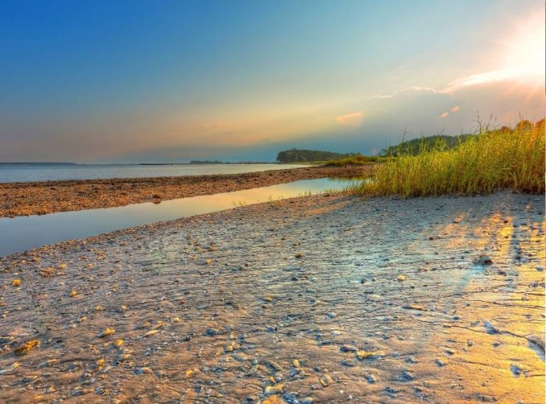 Art That Speaks of the Coast: The Leonard Collection at Pyramids